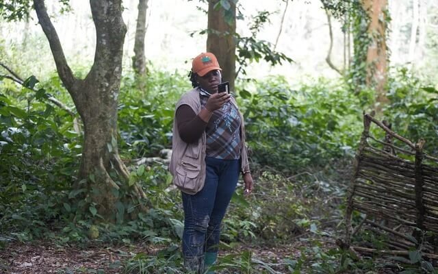 STOPSPILLOVER Data Collection