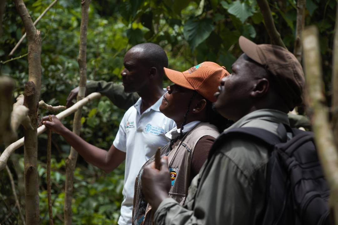 Bundibugyo STOPSPILLOVER